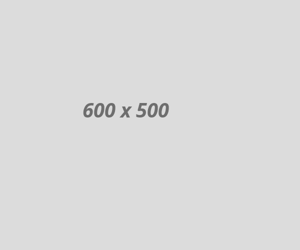 business01 business01